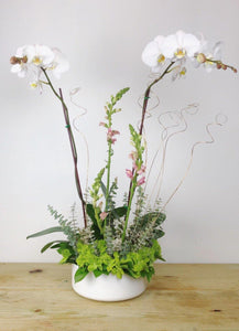 Orchid & Flowers Arrangement - Casaflor